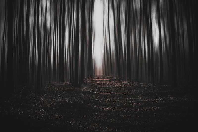 Surreal Image